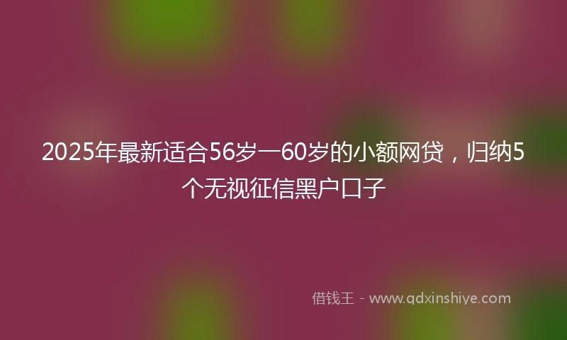 2025年最新适合56岁一60岁的小额网贷，归纳5个无视征信黑户口子