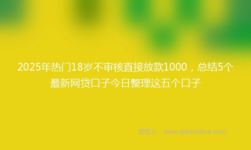 2025年热门18岁不审核直接放款1000，总结5个最新网贷口子今日整理这五个口子