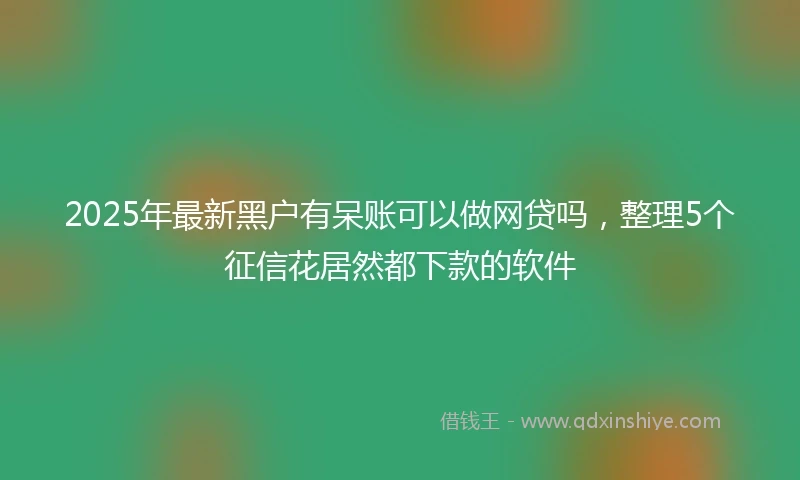 2025年最新黑户有呆账可以做网贷吗,整理5个征信花居然都下款的软件