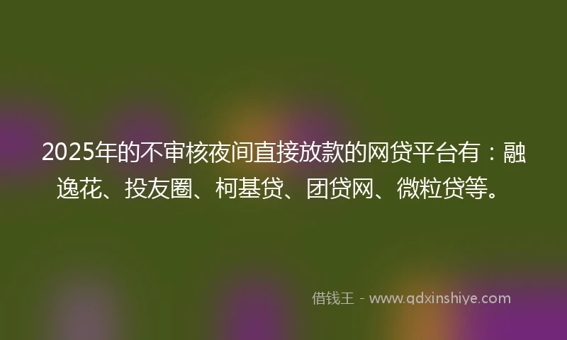 2025年的不审核夜间直接放款的网贷平台有：融逸花、投友圈、柯基贷、团贷网、微粒贷等。