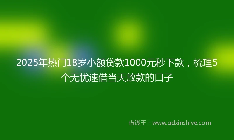 2025年热门18岁小额贷款1000元秒下款,梳理5个无忧速借当天放款的口子