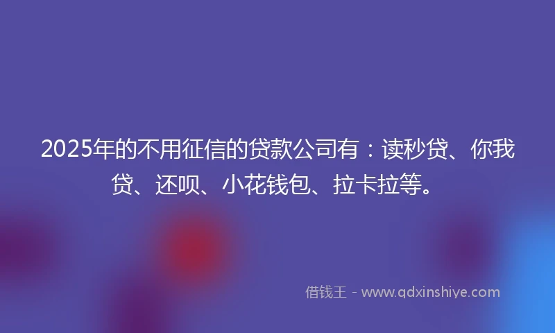 2025年的不用征信的贷款公司有：读秒贷、你我贷、还呗、小花钱包、拉卡拉等。