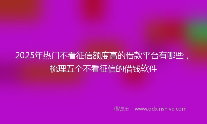 2025年热门不看征信额度高的借款平台有哪些,梳理五个不看征信的借钱软件