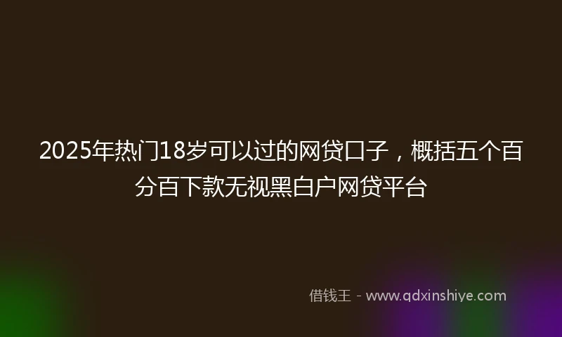 2025年热门18岁可以过的网贷口子，概括五个百分百下款无视黑白户网贷平台
