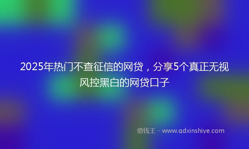 2025年热门不查征信的网贷，分享5个真正无视风控黑白的网贷口子