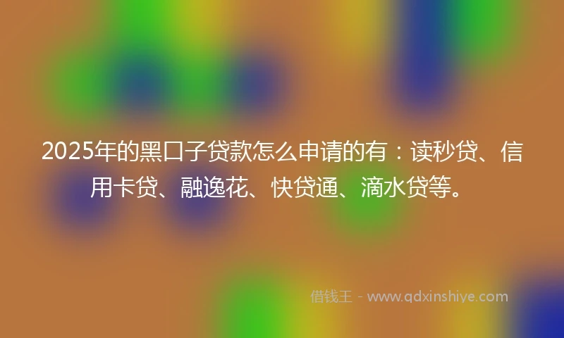 2025年的黑口子贷款怎么申请的有：读秒贷、信用卡贷、融逸花、快贷通、滴水贷等。