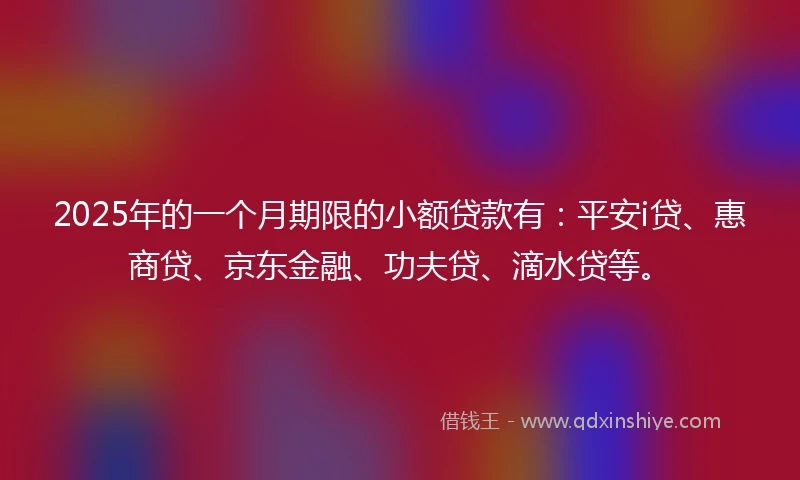 2025年的一个月期限的小额贷款有：平安i贷、惠商贷、京东金融、功夫贷、滴水贷等。