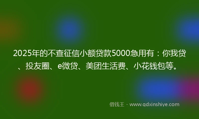 2025年的不查征信小额贷款5000急用有：你我贷、投友圈、e微贷、美团生活费、小花钱包等。
