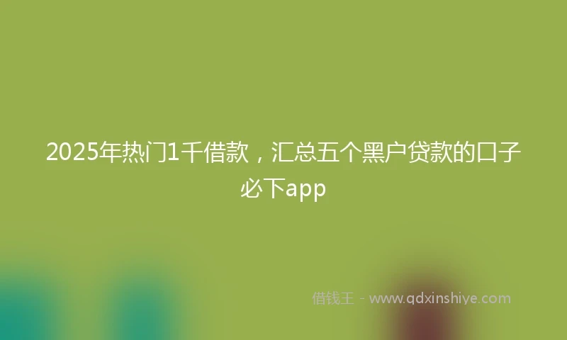 2025年热门1千借款,汇总五个黑户贷款的口子必下app