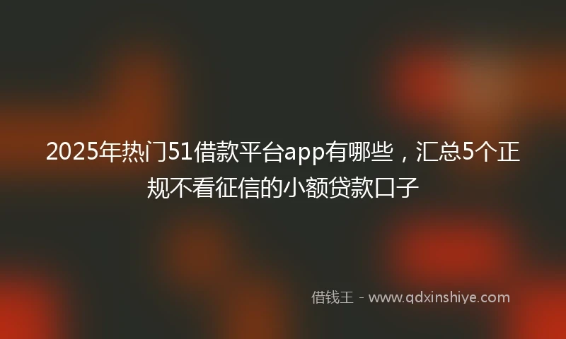 2025年热门51借款平台app有哪些，汇总5个正规不看征信的小额贷款口子