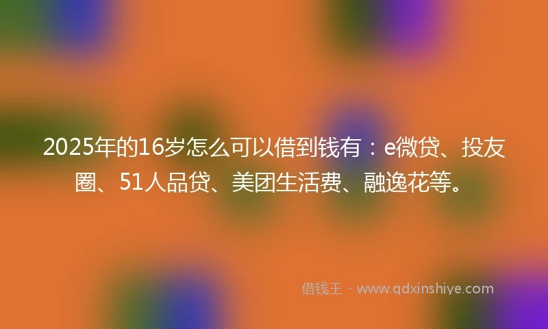 2025年的16岁怎么可以借到钱有：e微贷、投友圈、51人品贷、美团生活费、融逸花等。