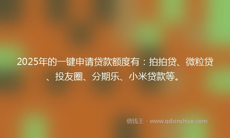 2025年的一键申请贷款额度有：拍拍贷、微粒贷、投友圈、分期乐、小米贷款等。