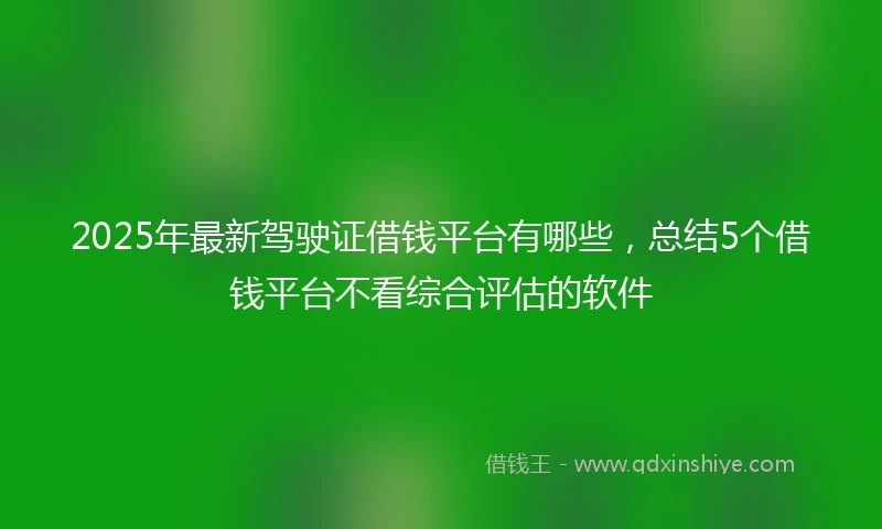 2025年最新驾驶证借钱平台有哪些，总结5个借钱平台不看综合评估的软件