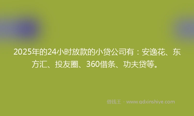 2025年的24小时放款的小贷公司有：安逸花、东方汇、投友圈、360借条、功夫贷等。