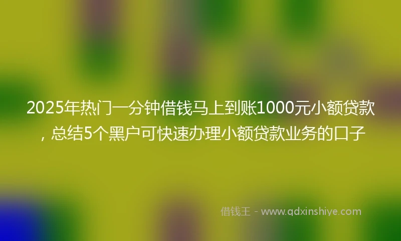 2025年热门一分钟借钱马上到账1000元小额贷款，总结5个黑户可快速办理小额贷款业务的口子