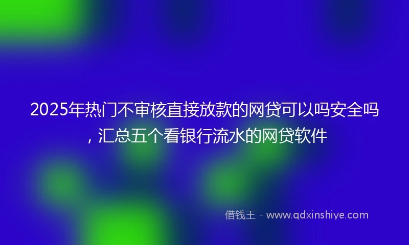 2025年热门不审核直接放款的网贷可以吗安全吗，汇总五个看银行流水的网贷软件