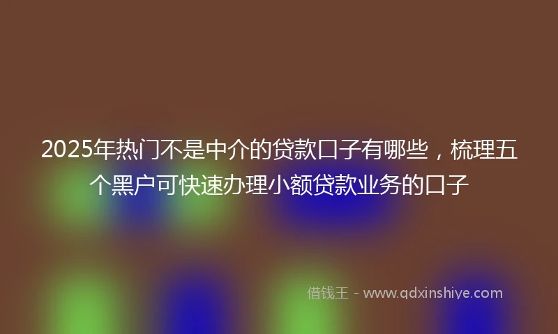 2025年热门不是中介的贷款口子有哪些，梳理五个黑户可快速办理小额贷款业务的口子