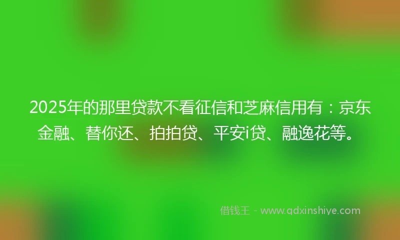 2025年的那里贷款不看征信和芝麻信用有：京东金融、替你还、拍拍贷、平安i贷、融逸花等。