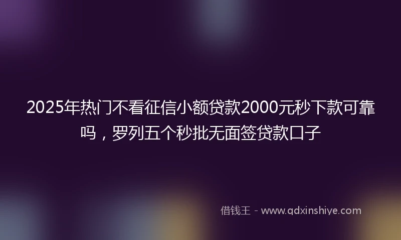 2025年热门不看征信小额贷款2000元秒下款可靠吗,罗列五个秒批无面签贷款口子