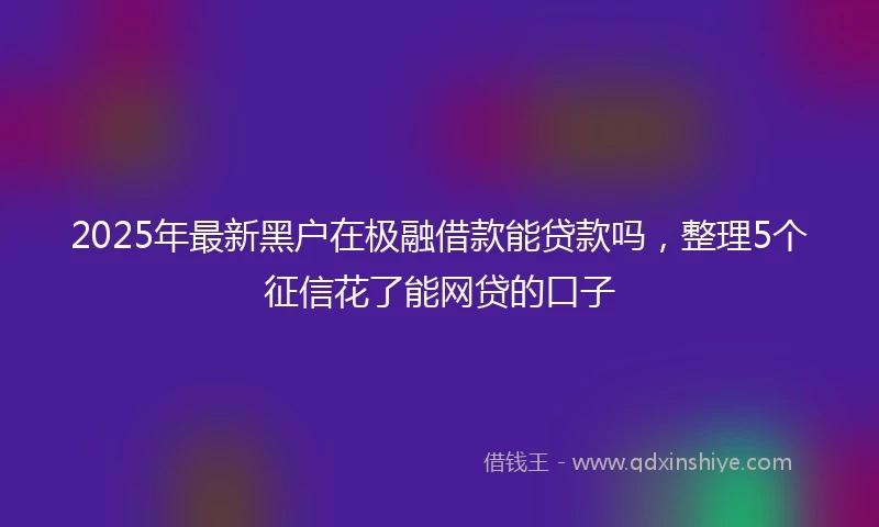 2025年最新黑户在极融借款能贷款吗，整理5个征信花了能网贷的口子