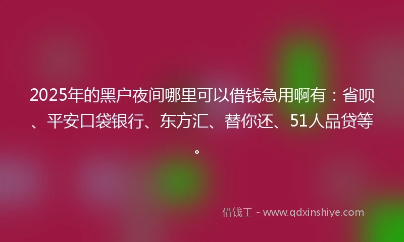 2025年的黑户夜间哪里可以借钱急用啊有：省呗、平安口袋银行、东方汇、替你还、51人品贷等。