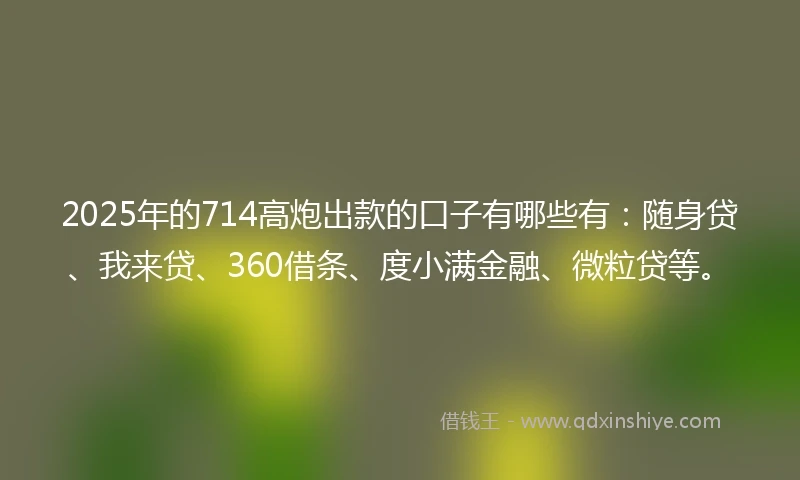 2025年的714高炮出款的口子有哪些有：随身贷、我来贷、360借条、度小满金融、微粒贷等。