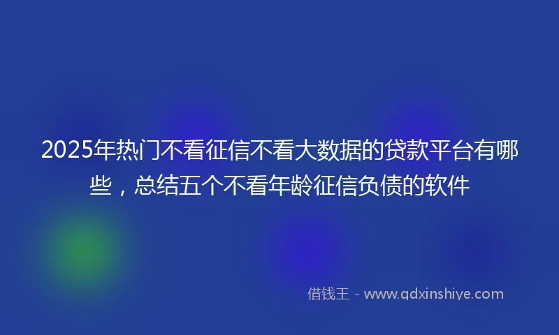 2025年热门不看征信不看大数据的贷款平台有哪些,总结五个不看年龄征信负债的软件
