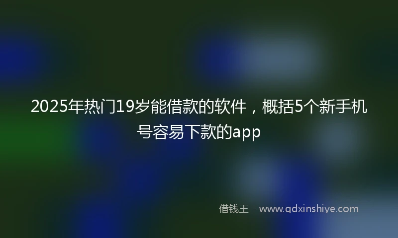 2025年热门19岁能借款的软件，概括5个新手机号容易下款的app