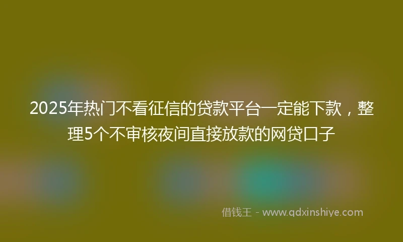 2025年热门不看征信的贷款平台一定能下款，整理5个不审核夜间直接放款的网贷口子