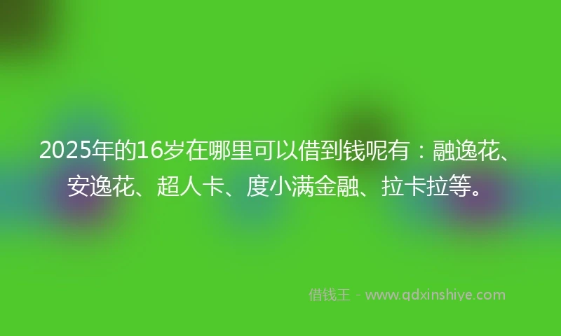 2025年的16岁在哪里可以借到钱呢有：融逸花、安逸花、超人卡、度小满金融、拉卡拉等。