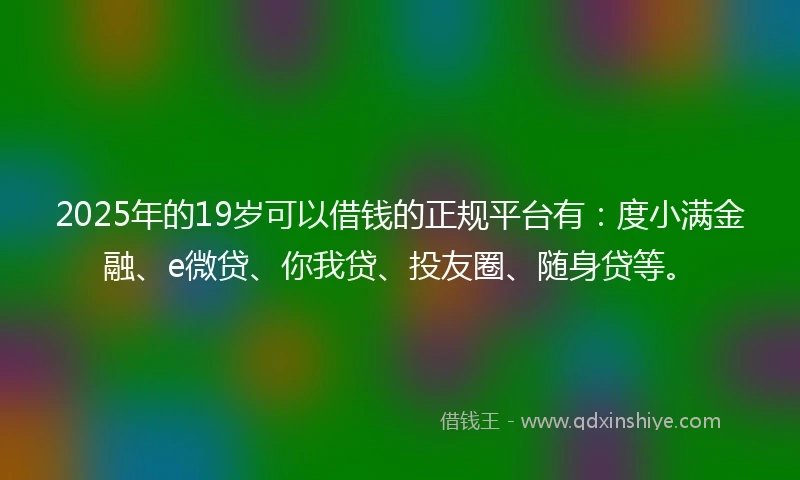 2025年的19岁可以借钱的正规平台有：度小满金融、e微贷、你我贷、投友圈、随身贷等。