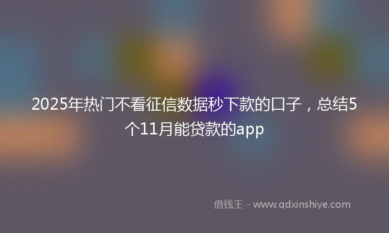 2025年热门不看征信数据秒下款的口子，总结5个11月能贷款的app
