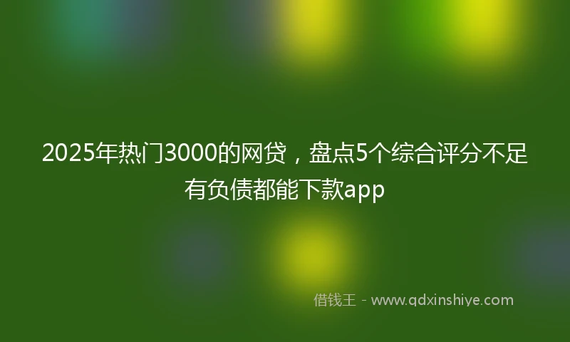 2025年热门3000的网贷，盘点5个综合评分不足有负债都能下款app