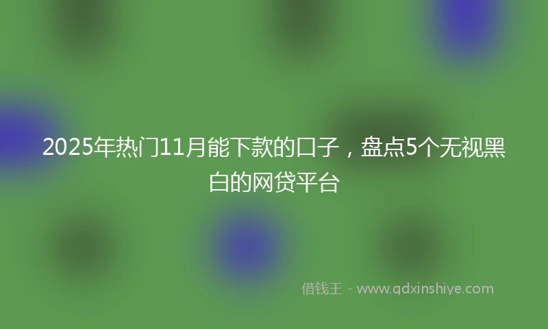 2025年热门11月能下款的口子，盘点5个无视黑白的网贷平台