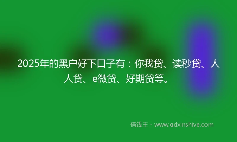 2025年的黑户好下口子有：你我贷、读秒贷、人人贷、e微贷、好期贷等。