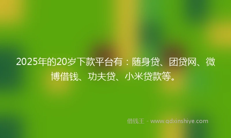 2025年的20岁下款平台有：随身贷、团贷网、微博借钱、功夫贷、小米贷款等。