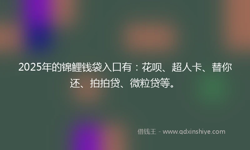 2025年的锦鲤钱袋入口有：花呗、超人卡、替你还、拍拍贷、微粒贷等。