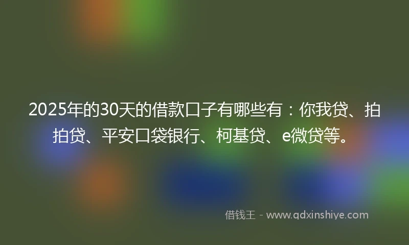 2025年的30天的借款口子有哪些有：你我贷、拍拍贷、平安口袋银行、柯基贷、e微贷等。