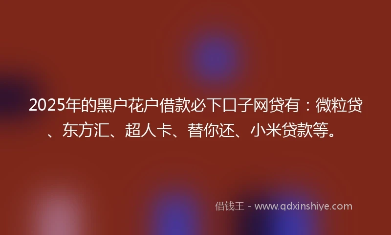 2025年的黑户花户借款必下口子网贷有：微粒贷、东方汇、超人卡、替你还、小米贷款等。