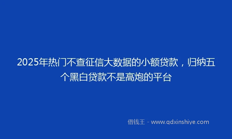 2025年热门不查征信大数据的小额贷款，归纳五个黑白贷款不是高炮的平台