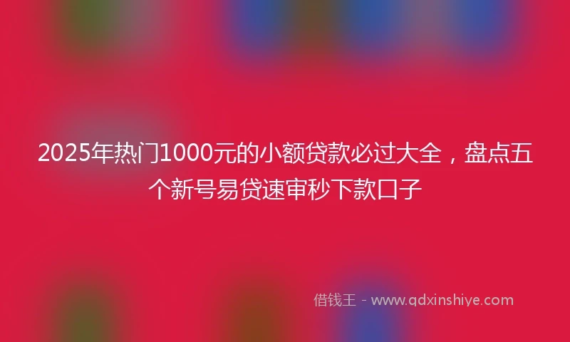 2025年热门1000元的小额贷款必过大全，盘点五个新号易贷速审秒下款口子