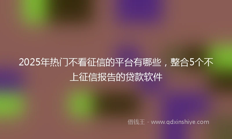 2025年热门不看征信的平台有哪些，整合5个不上征信报告的贷款软件