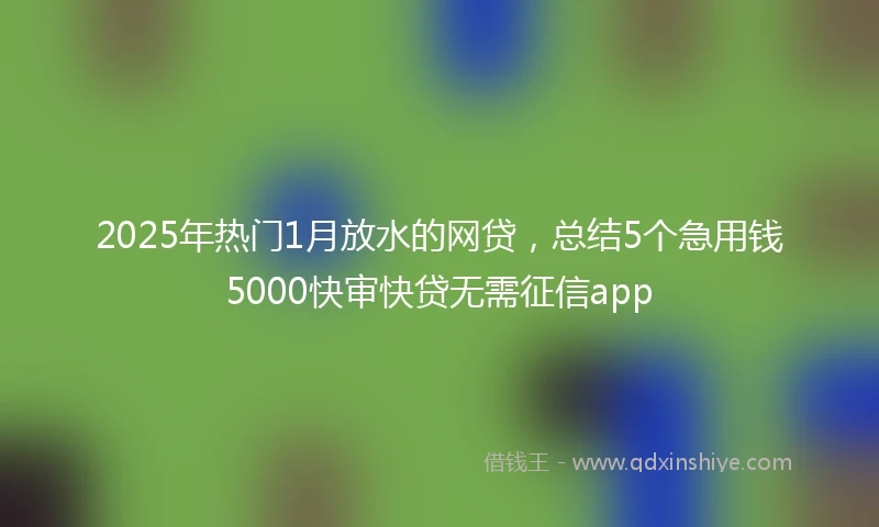 2025年热门1月放水的网贷，总结5个急用钱5000快审快贷无需征信app