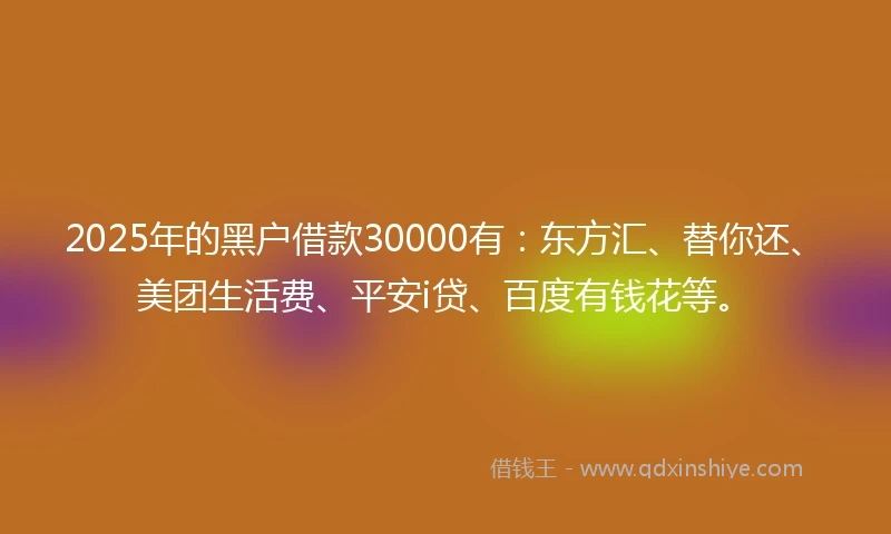 2025年的黑户借款30000有：东方汇、替你还、美团生活费、平安i贷、百度有钱花等。