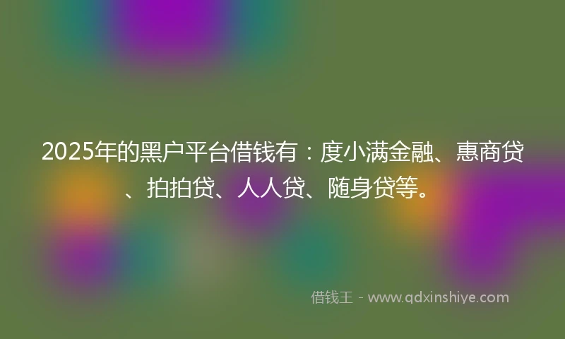 2025年的黑户平台借钱有：度小满金融、惠商贷、拍拍贷、人人贷、随身贷等。