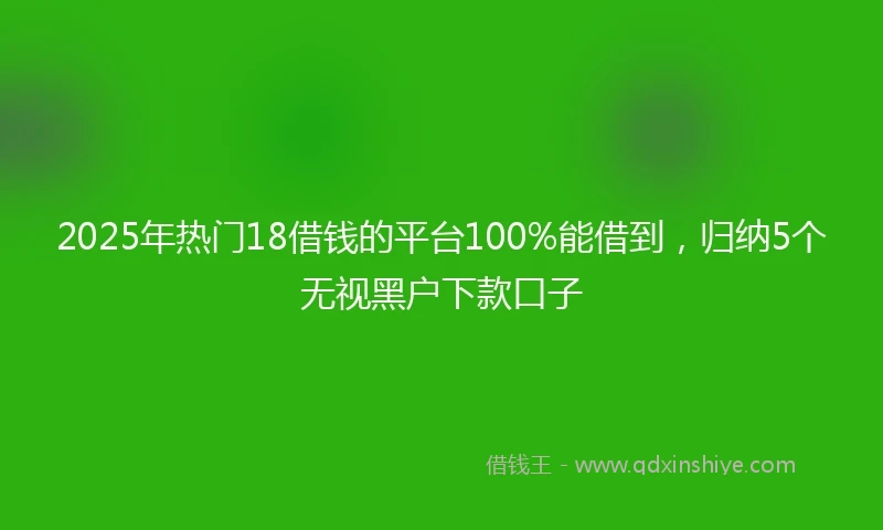 2025年热门18借钱的平台100%能借到，归纳5个无视黑户下款口子