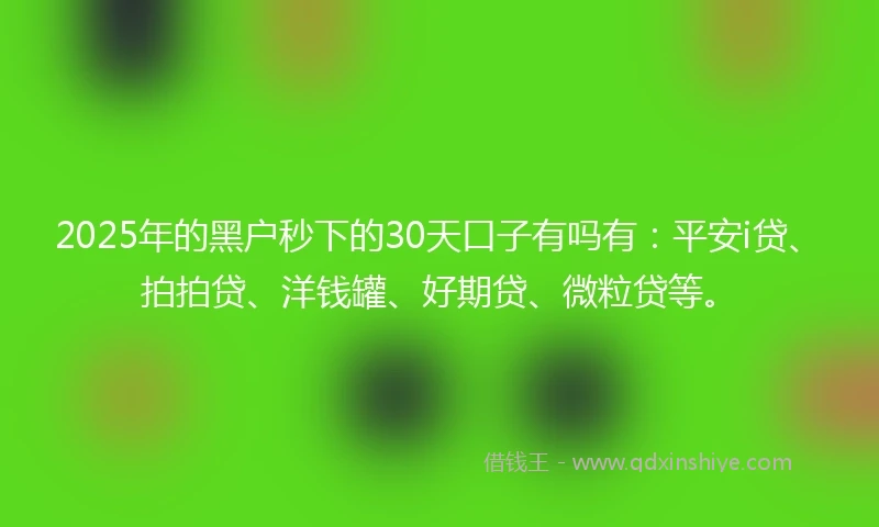 2025年的黑户秒下的30天口子有吗有：平安i贷、拍拍贷、洋钱罐、好期贷、微粒贷等。