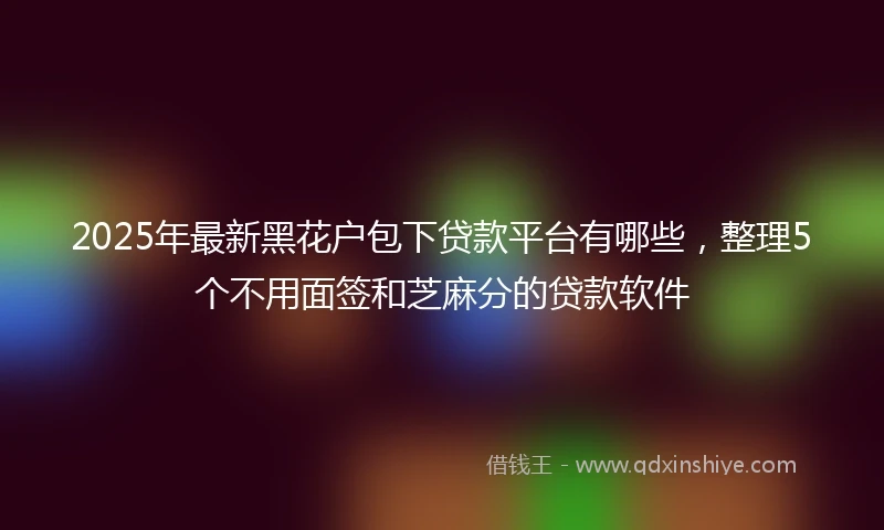 2025年最新黑花户包下贷款平台有哪些，整理5个不用面签和芝麻分的贷款软件