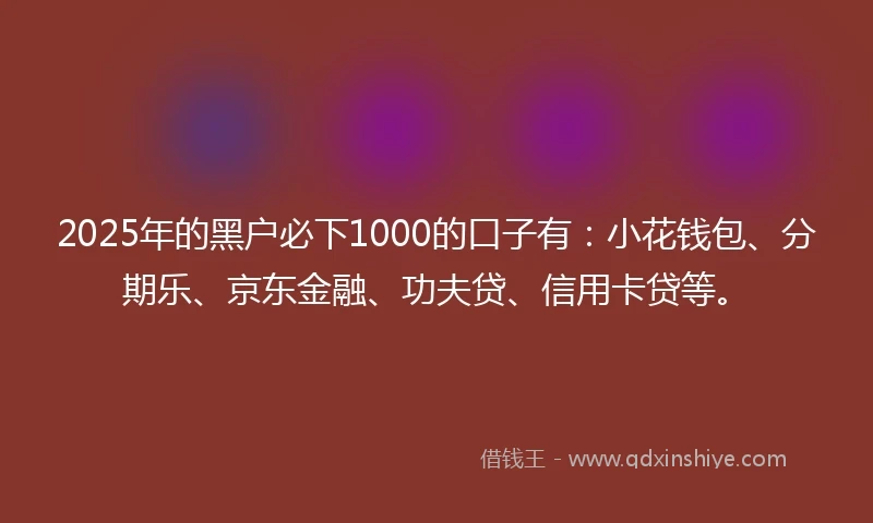2025年的黑户必下1000的口子有：小花钱包、分期乐、京东金融、功夫贷、信用卡贷等。