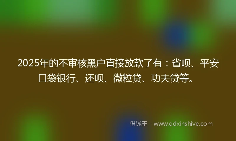 2025年的不审核黑户直接放款了有：省呗、平安口袋银行、还呗、微粒贷、功夫贷等。
